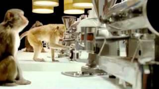 Costa Commercial - Monkeys & Typewriters