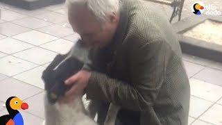 Man Films Himself Reuniting With Dog After 3 Years Apart  The Dodo