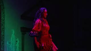 Adaptación flamenca de Carmen de Bizet Tablao Flamenco El Palacio Andaluz de Sevilla.