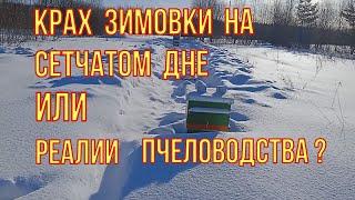 Слабонервным не смотреть Реалии расхода при зимовке пчёл на сетчатом дне. Расход корма за февраль.