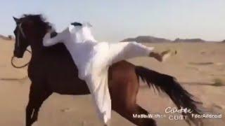 الخيل من خيالها  الخيال سلطان الرشيدي