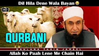 Qurbani  Sacrifice on Bakra Eid  Maulana Tariq Jameel #AllAboutIslamOfficial