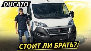 Идеален — думали итальянцы. Не совсем... — сказали мы. Fiat Ducato 3  Подержанные автомобили