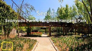 4kSeonyudo& Yanghwa Hangang Park Seoul l 선유도공원&양화한강공원 산책