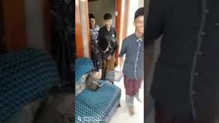 kucing ikut salaman pas lebaran