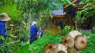 Heavy Rain in the Village After Hunting for Wild Mushrooms  Living in the Village