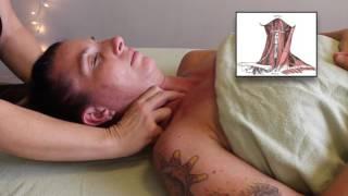 Massage Tutorial ADVANCED TMJ SOFT TISSUE WORK