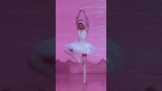 Swan Lake from Russia pink version