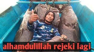 strake kerapu monster di air 4 meter  perlawanannya sangat liar