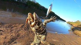 PESCA Y COCINA EN RÍO MILENARIO. pesca urbana