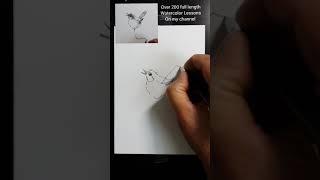 Draw a simple bird quick and easy in real time #shorts #cute #funny #birds #animals #drawing #art