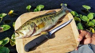 Catch And Cook Largemouth Bass