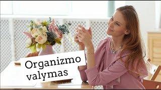 Organizmo valymas pavasarį  Eglė Terekaitė