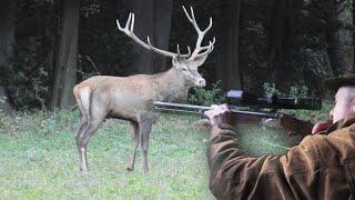 deer hunting  ed stag or archery elk  kill shot red stag in the rutting season ep # 29