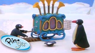Pingu and the Barrel Organ   Pingu Official  Cartoons for Kids