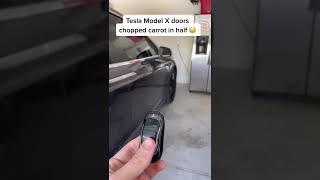 Model X Falcon Wing doors are less dangerous than standard car doors