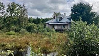 Abandoned Homestead in the Maine Woods  Nine Mile Bridge