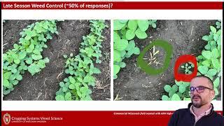 See & Spray Precision Herbicide Application Technologies