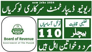 Ravnue department punjab jobs October 2024