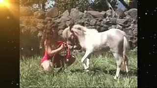 Ponylover-2