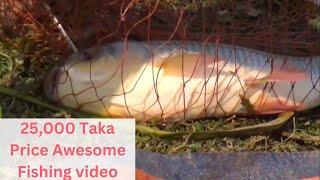25000 Taka Price Awesome Fishing video Amazing Fishing Video