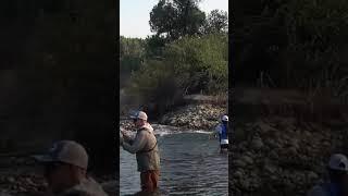 NEW fishing report is LIVE Head to @guyjeans8 to watch #flyfishing #california #kernriver