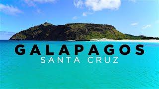 GALAPAGOS ISLA SANTA CRUZ - Travel Guide to ALL SIGHTS and ISLANDS in 4K