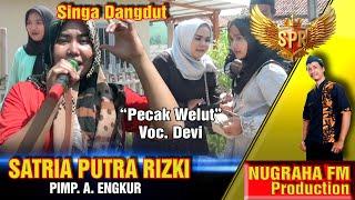 Pecak welut SATRIA PUTRA RIZKI Show Dsn. Sasak Desa Amansari Kec. Rengasdengklok - Karawang