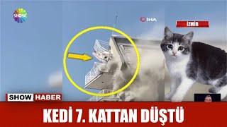 Kedi 7. kattan düştü