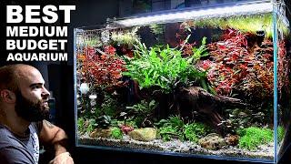 HUGE IMPACT - Medium Budget Aquarium Aquascape Tutorial