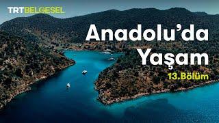 Anadoluda Yaşam  Akdeniz Bölgesi  TRT Belgesel