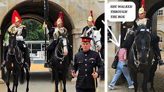 NO ONE EXPECTED THIS Tourist Walks Through the Horse Box Armed Police Want to Speak to Parents