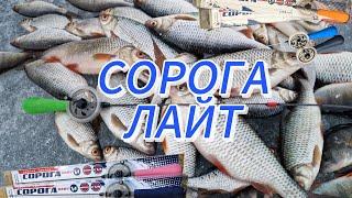 Обзор зимнего удилища СОРОГА ЛАЙТ