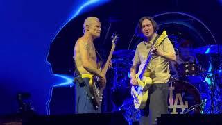 Red Hot Chili Peppers - Californication Live 4K