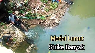 GACORR.. Strike Ikan Nila di Selokan Kota Jakarta