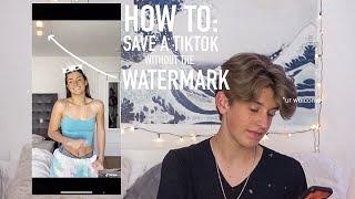 How to Save a TikTok without the watermark