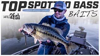 Best Lures for Spotted Bass  Logans Top 3