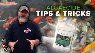 How to Use Liquid Algaecide in Your Pond