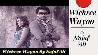 Najaf Ali Song Wichree wayoo sindhi song ktn kashish