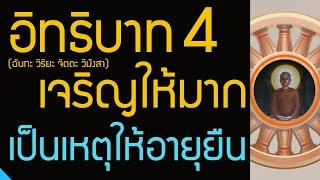 อิทธิบาท 4 ฉันทะ วิริยะ จิตตะ วิมังสา เจริญให้มาก กระทำให้มาก เป็นเหตุให้อายุยืน