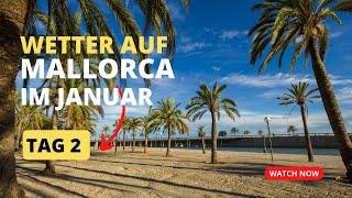 MALLORCA wie ist das Wetter in Januar  Palma Tag 2  alleine reisen