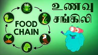 உணவு சங்கிலி  What is a Food Chain  Dr.Binocs Tamil  Best Learning Videos For Kids