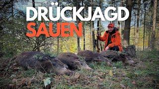 DRÜCKJAGD STORIES - Mehr Sauen als je zuvor - Best of mit der Driven Hunt