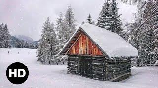 Snow   Winter  Nature  Relaxing  Free HD Videos - No Copyright footage