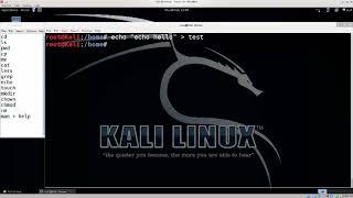 Learn Kali Linux Episode #14 Command Line Essentials Part 2