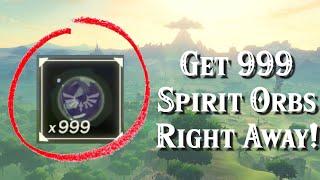 How to Get 999 Spirit Orbs in Minutes in Zelda Breath of the Wild