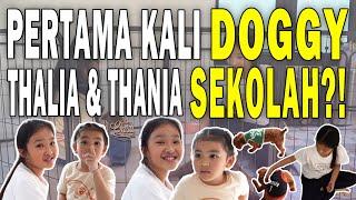 EXCITED‼️ THALIA & THANIA PANTAU DOGGY SEKOLAH⁉️ SARWENDAH DATANG KE ULANG TAHUN ANAK IRISH BELLA‼️