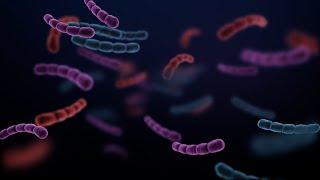 DISTURBI DANSIA E MICROBIOTA scoperto il legame fra infiammazione intestinale e stati dansia