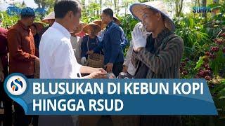 Jokowi Meluncur ke Lampung Barat Blusukan di Kebun Kopi Hingga RSUD