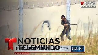 El video de un coyote que perfora el muro de la frontera en Tijuana  Noticiero  Noticias Telemundo